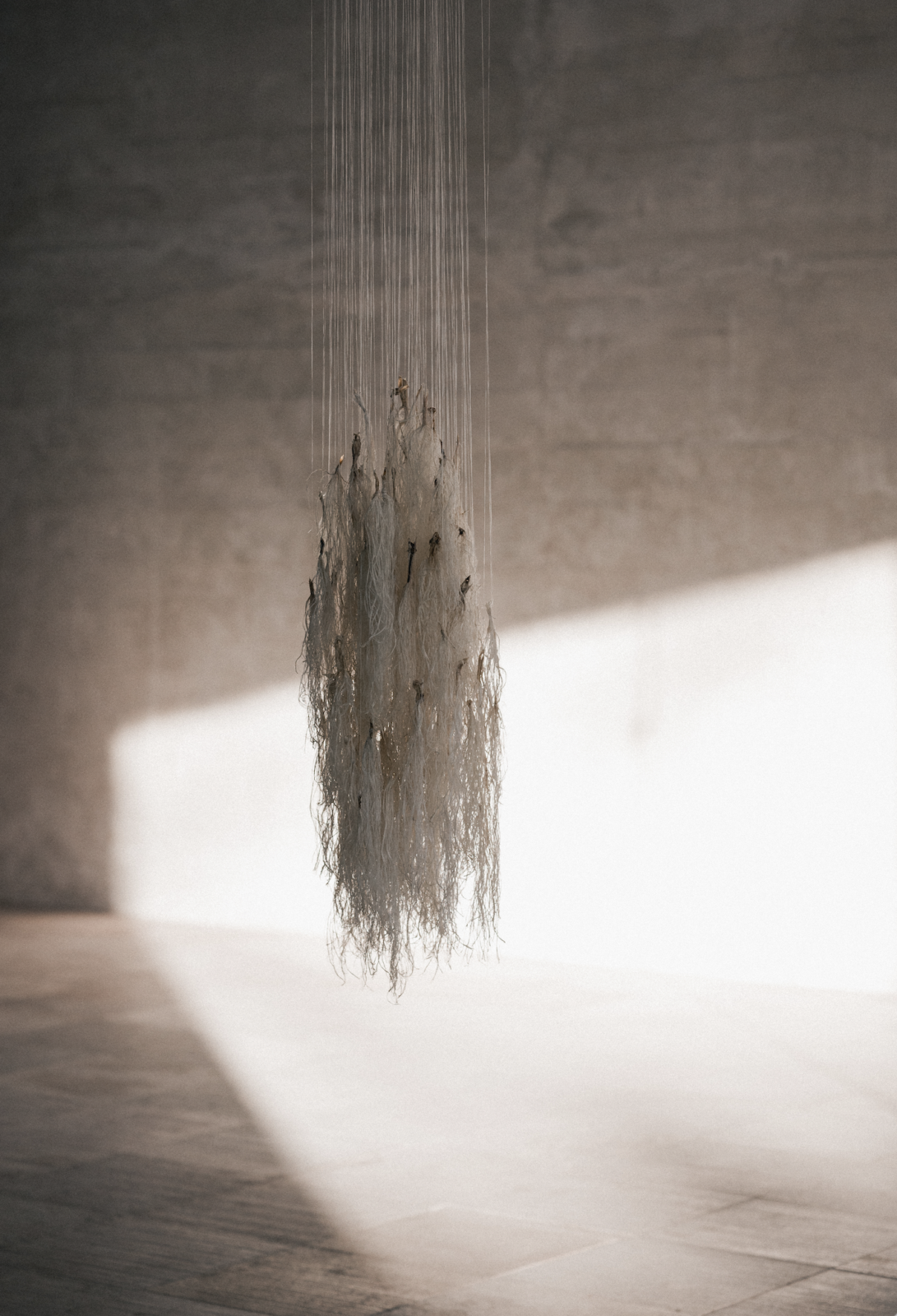 Máret Ánne Sara Dáiddadállu